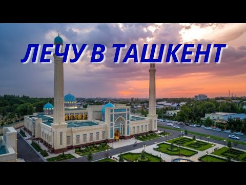 Видео: Узбекистан 2022. Лечу в Ташкент открывать бизнес 😎