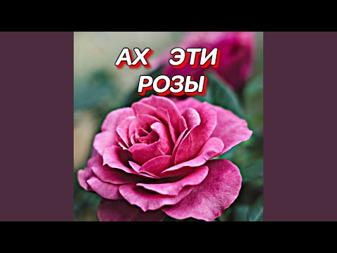 Видео: АХ ЭТИ РОЗЫ