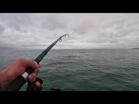 Видео: Морская рыбалка на макрель