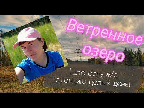 Видео: Ветренное озеро. Одиночная прогулка от Лемболово до Орехово. Ленинградская область.