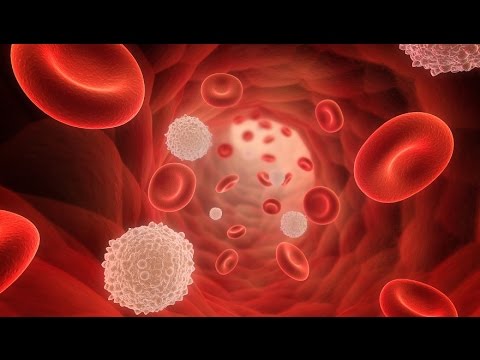 Видео: Нейтропения. Как предотвратить ее последствия? к.м.н. Уржумова Н.Г.