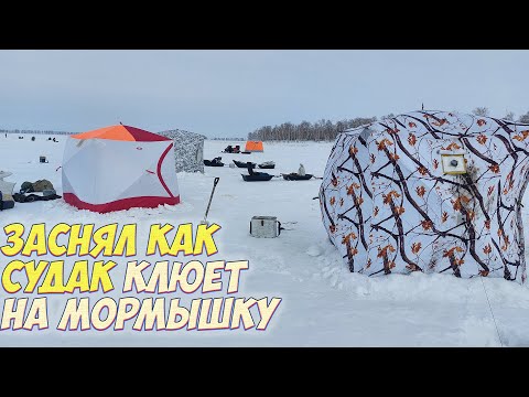 Видео: СУДАК НА БЛЕСНУ. ДВА ВЕДРА КАРАСЯ ЗА НОЧЬ. РЫБАЛКА С НОЧЕВКОЙ.