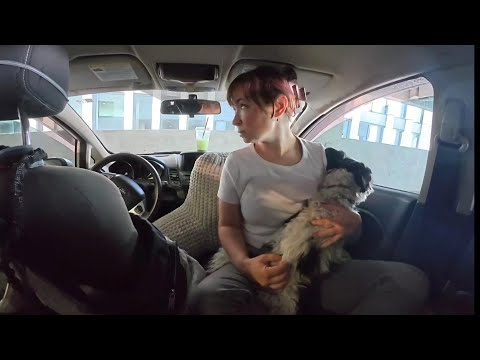 Видео: 48-часовой кемпинг с невидимым автомобилем в парковке в центре города