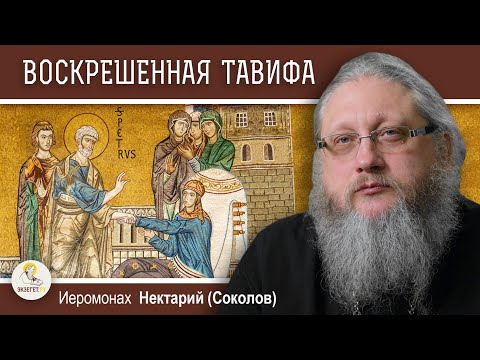 Видео: ПРАВЕДНАЯ ТАВИФА И СВЯТЫНИ ЯФФЫ.  Иеромонах Нектарий (Соколов)