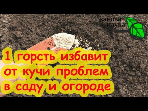 Видео: СЫПЬТЕ ХОТЬ ПО СНЕГУ! Это удобрение осенью важнее всех! Рейтинг кальциевых удобрений: какие, сколько