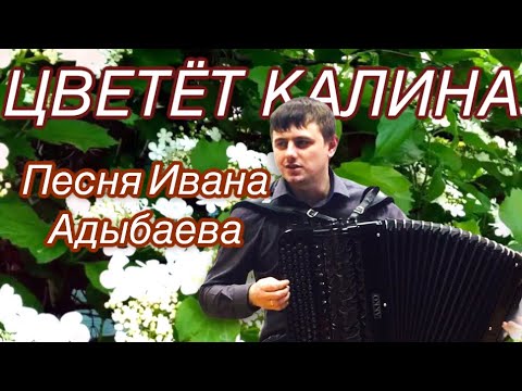 Видео: Песня ИВАНА АДЫБАЕВА «ЦВЕТЁТ КАЛИНА» 🎶песня под баянчик 🎵