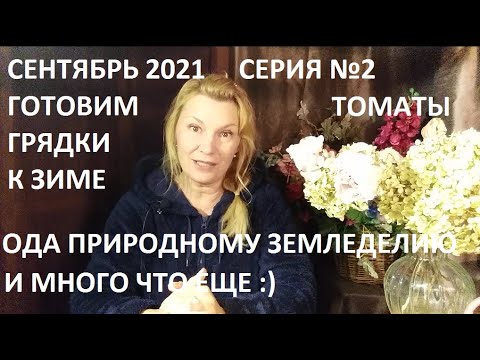 Видео: Сентябрь 2021 серия №2 Готовим грядки к зиме.  Урожай тыквы и много что еще)