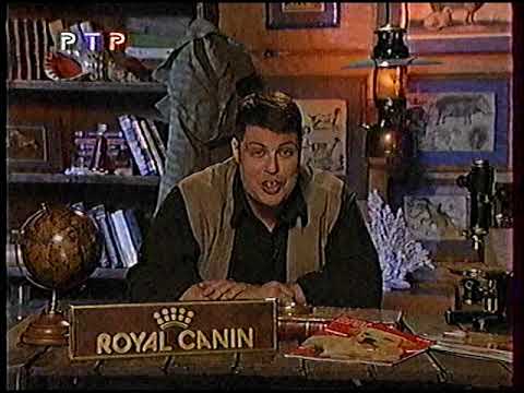 Видео: Диалоги о Животных (РТР, 31.12.2000) Морские слоны