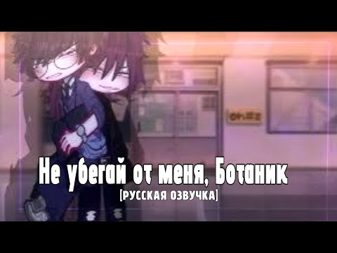Видео: РУССКАЯ ОЗВУЧКА | «Не убегай от меня, ботаник» [1/1] | Гача мини-фильм | ЯОЙ