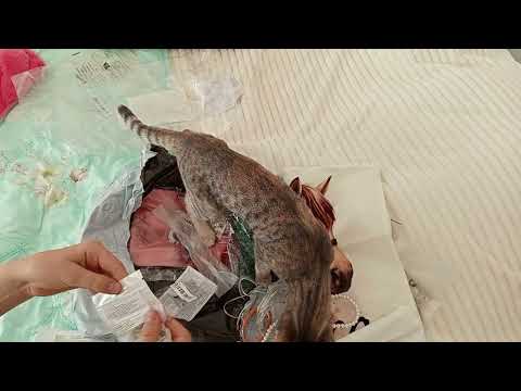 Видео: Розпаковка посилки з TEMU 