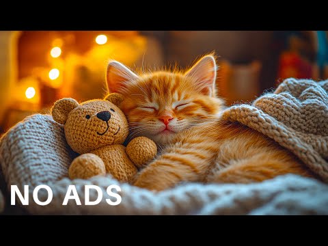 Видео: Музыка для кошек, снимающая тревогу 🐶💖 Расслабляющие звуки для домашних животных, не подверженных