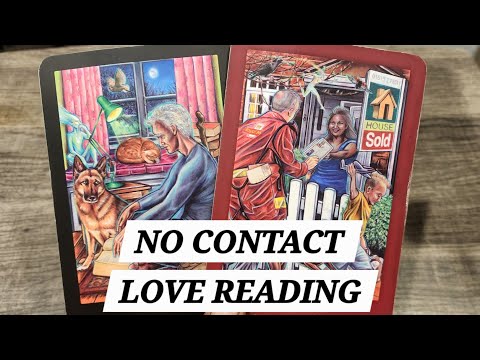 Видео: Они скучают по тебе. То, что они сделают дальше, вас ШОКИРУЕТ!