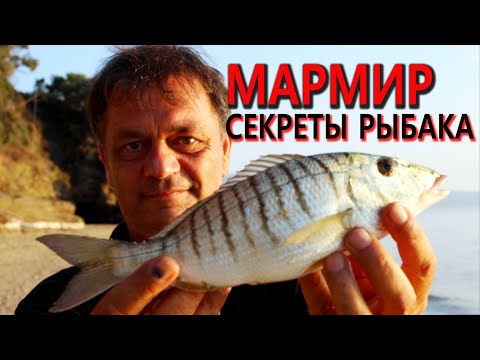 Видео: Мармир (Землерой атлантический) Как ловить. Секреты рыбака!