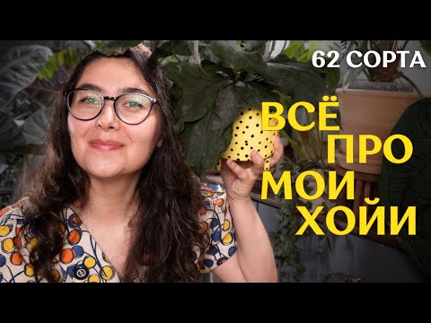 Видео: 62 ХОЙИ: как ВЫРОСЛИ сами ХОЙИ, и как ПОПОЛНИЛАСЬ КОЛЛЕКЦИЯ за ГОД  | бонус из 11 ДИСХИДИЙ ⚡