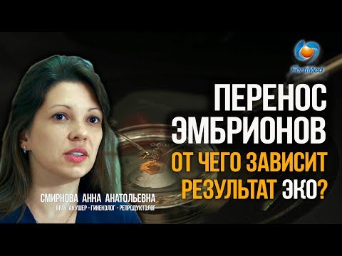 Видео: 🔴 Перенос эмбрионов. От чего зависит результат ЭКО? Лечение бесплодия в Москве.