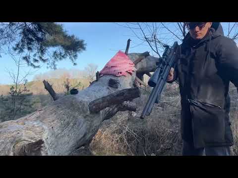 Видео: Тест пневматической винтовки PCP ZBROIA Козак FC 550/290 кал. 4,5 мм