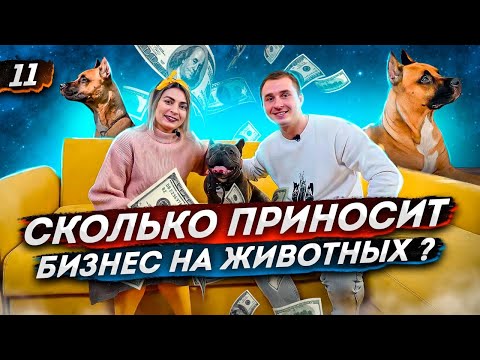Видео: Передержка животных как бизнес. Сервис для животных