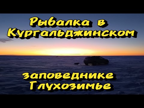 Видео: Рыбалка в Коргалжинском заповеднике