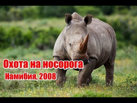 Видео: Охота на носорога | Намибия 2008  (RUS)