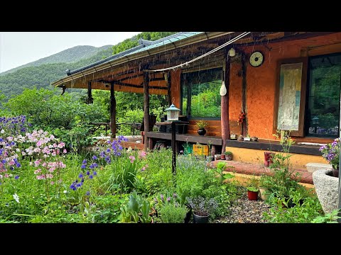 Видео: Мой цветущий загородный дом🌞☔️ | Садоводство🥬 | Шьем куклу-утку🪿