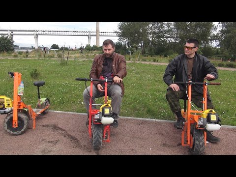 Видео: Лесной Кот