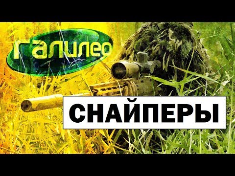 Видео: Галилео. Снайперы 🔫 Snipers