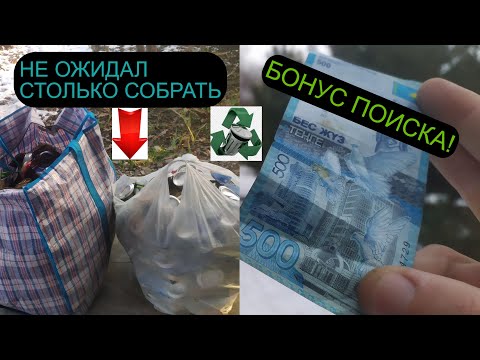 Видео: МОЩНЫЙ СБОР АЛЮМИНИЕВЫХ БАНОК! БОНУС ВО ВРЕМЯ ПОИСКА! ИЩУ МЕТАЛЛОЛОМ. ЛАТУНЬ