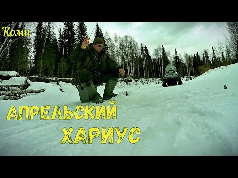 Видео: Рыбалка на хариуса в Апреле. Коми. 2023г.