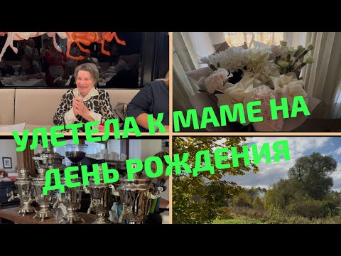 Видео: Разные менталитеты/Мать-ехидна/Улетела на День Рождения мамы