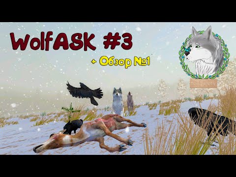 Видео: WolfASK #3 + Одиночный обзор на обновление №1 в игре WolfQuest Anniversary Edition №12