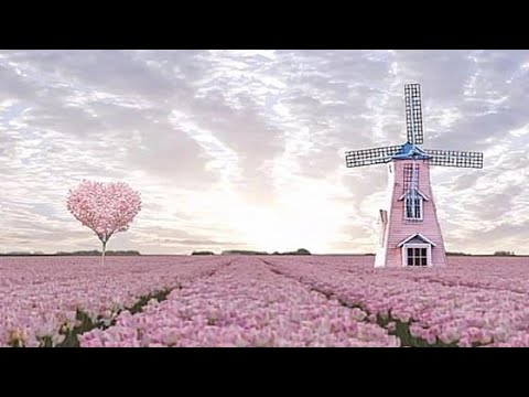 Видео: 💫🌺💜Что он думал о тебе перед сном✨️💜