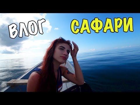 Видео: ДЕЛЬФИНЫ НА ЗАНЗИБАРЕ И ДЖУНГЛИ С ОБЕЗЬЯНАМИ. JOZANI FOREST. ОТДЫХ НА ЗАНЗИБАРЕ. САФАРИ В ТАНЗАНИИ.