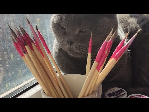 Видео: Як зробити котячий пензлик самостійно. Малюємо петриківський розпис.