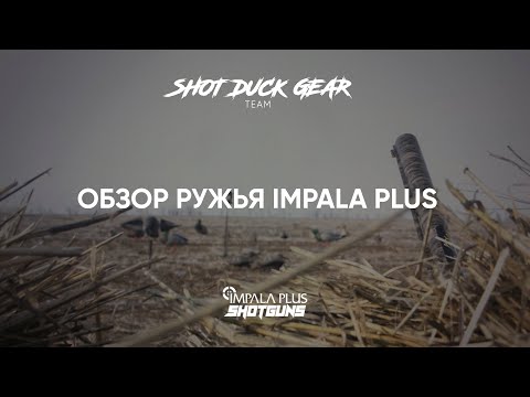Видео: Обзор Impala Plus после 1000 выстрелов / обзор ISTANBUL SILAH Impala Plus / обзор impala plus