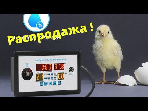 Видео: Убойный контроллер для инкубатора ZFX-W9002 / Обзор / Настройка