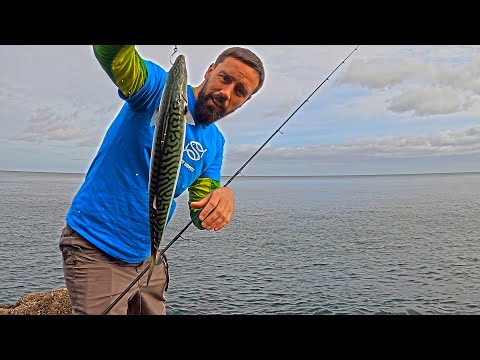 Видео: LRF Mackerel | Ловля минтая на приманку | Дельфины | LRF UK