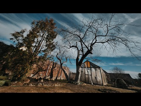 Видео: Как сохранить старую яблоню
