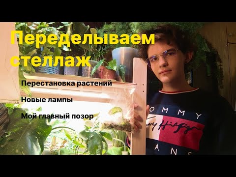 Видео: Перепланировка стеллажа / Что стало с моими растениями?!!?