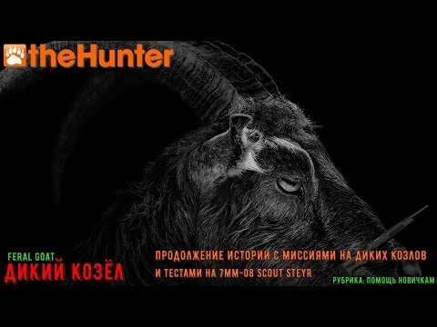 Видео: ♢ theHunter Classic ➫ Рубрика: Помощь новичкам ♢ Feral Goat Missions ℘⓷ ➫ 7mm-08 Scout Steyr ♢