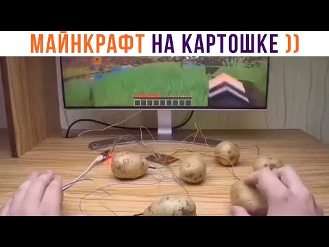 Видео: 5D-мемы. ИГРАЕТ В МАЙНКРАФТ НА КАРТОШКЕ))) Приколы | Мемозг 844