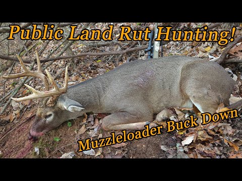 Видео: Охота на оленей в общественных угодьях Вирджинии, открытие недели, охота на оленей с дульнозарядн...