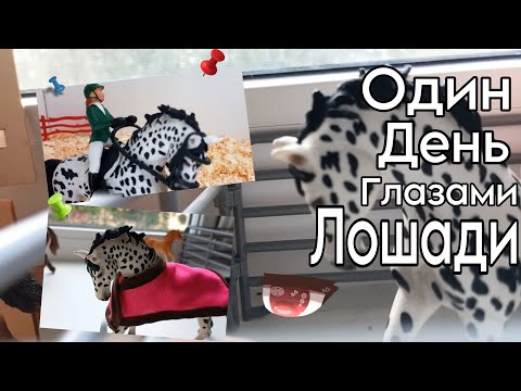 Видео: Один день глазами лошади/Schliech/Лошади/