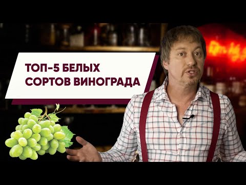 Видео: Топ 5 [БЕЛЫХ СОРТОВ] винограда