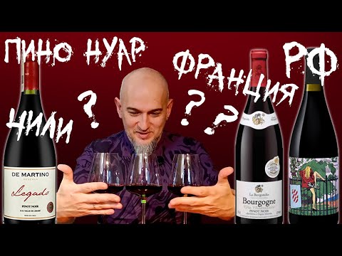 Видео: Какое вино лучше? Чили, Франция, РФ? Пино Нуар слепое сравнение