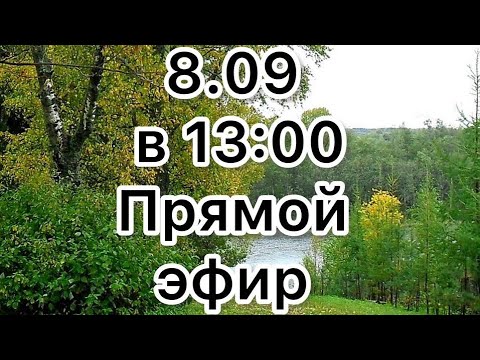 Видео: ❤️ Прямой эфир 8.09.2025 ✅ Ссылки в описании 👇