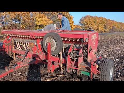 Видео: Подготовка пшеницы, калибровка, протравка. Посев озимой пшеницы 2021. Что снится поросятам!
