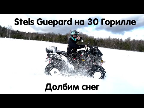 Видео: Stels Guepard Долбим глубокий снег на огромной злой грязевой резине. Наглядные тесты резины зимой