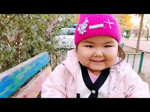 Видео: 23 октября 2025 г.