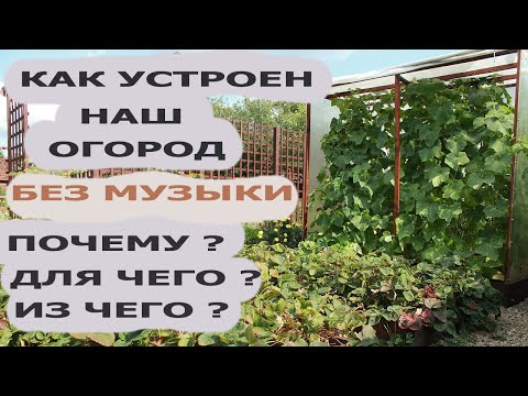 Видео: Подробный обзор нашего огорода/A detailed overview of our vegetable garden
