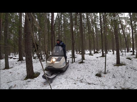 Видео: ПОСЛЕДНЯЯ ПОЕЗКА НА СНЕГОХОДЕ "БУРАН" В ПОИСКАХ ГЛУХАРИННОГО ТОКА.Март-Апрель 2024г.